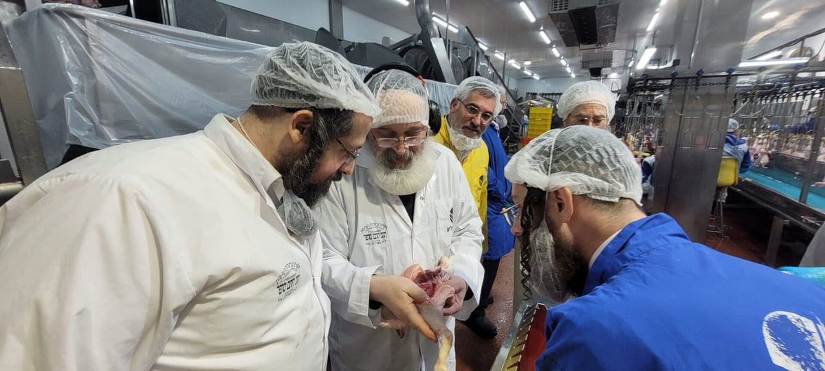 מפעל עוף ירושלים — בדיקת השגחה בקו הייצור